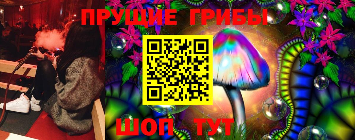 Псилоцибиновые грибы GOLDEN TEACHER Чусовой