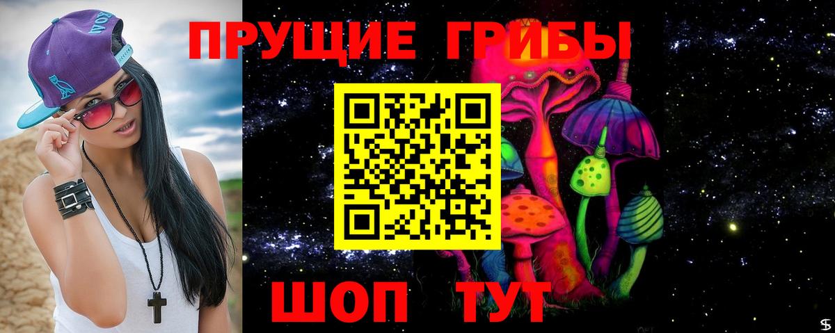 Чусовой  хочу   Вход с VPN  Псилоцибиновые грибы GOLDEN TEACHER 