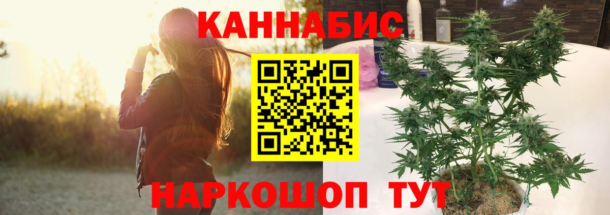 Бошки Шишки MAZAR  Вход с VPN  Чусовой  Бошки марихуана план  Марихуана VHQ 